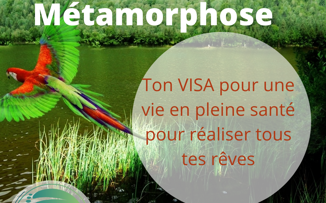 Programme Métamorphose-Méthode VISA-Sandra Veyer-Naturopathe - Au coeur de la ressource