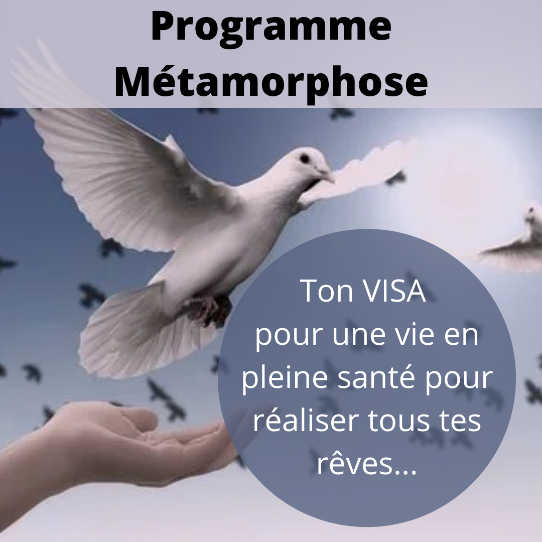 Programme Métamorphose - VISA - au coeur de la ressource - Sandra Veyer Naturopathe St Rambert d'Albon